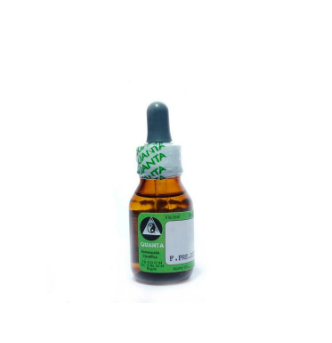ECHINACEA 